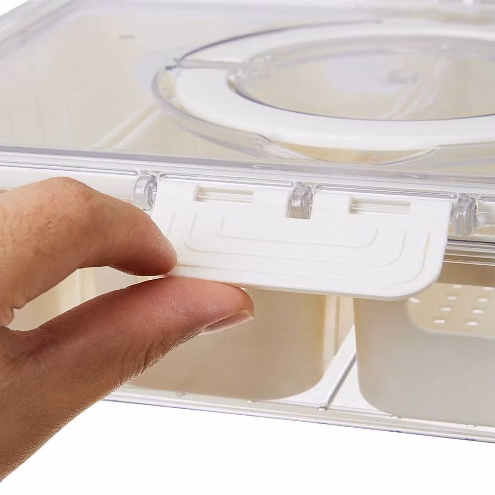KORVIXA 2-Grid Clear Fridge Crisper Box with Drain Basket, White and Transparent, W: 24 cm, D: 17 cm, H: 7 cm – 3