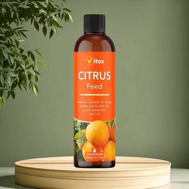 Vitax Liquid Citrus Fruit Plant Feed Concentrate 250ml Makes 50L