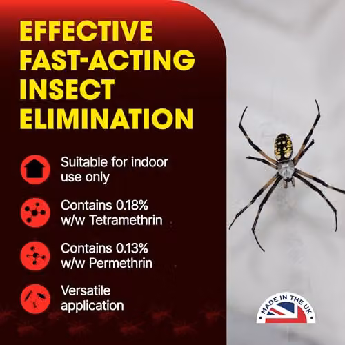 Doff Spider and Crawling Insect Killer Spray, 500ml Aerosol, Red – 3