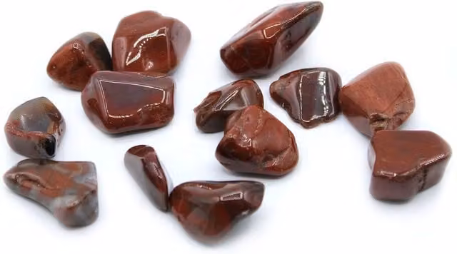 KDMK Petrified Wood Tumble Stones in Maroon