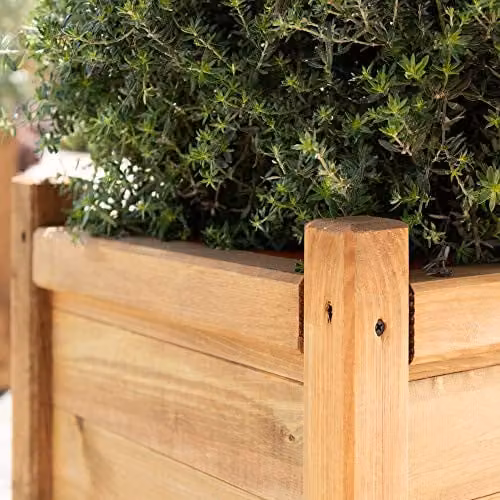 Primrose Liz Frances Wooden Tapered Pine Planter Raised Cube Garden Pot in Brown and Beige, 55 cm – 4
