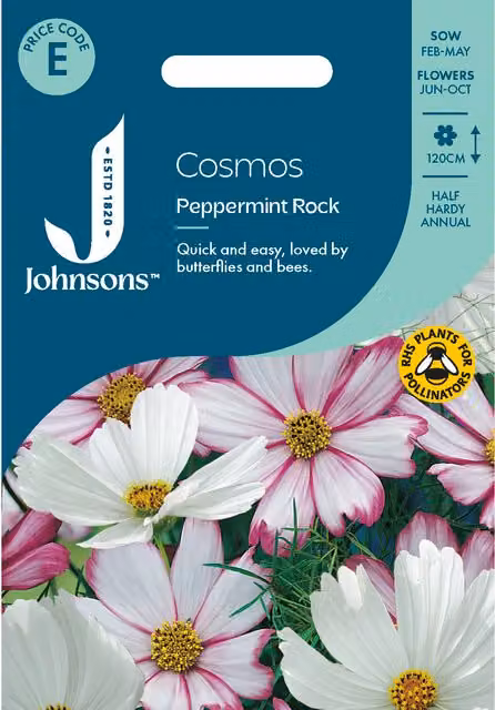 Johnsons Seeds Cosmos Peppermint Rock White Flower Seeds