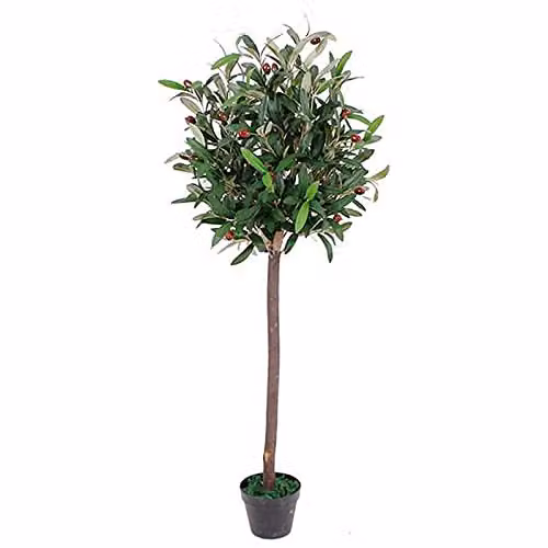 Leaf Design UK Realistic Artificial Green Olive Tree in a Black Plastic Pot, Height: 120 cm – 1