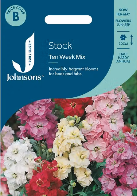 Johnsons Seeds Ten Week Mixed Stock Multicolour Flower Seeds