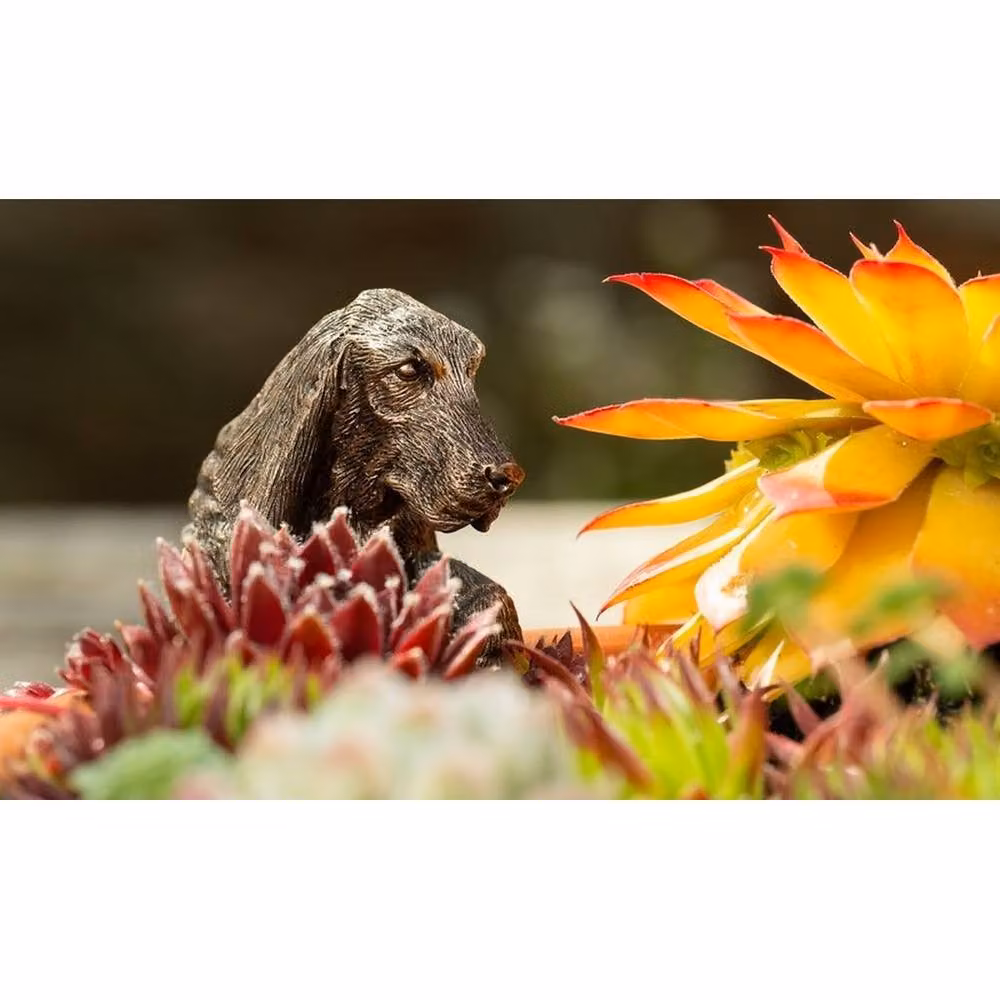 Jardinopia Basset Hound Hanging Plant Pot Ornament, Bronze, L11 x W5.5 x H4.5 cm – 7
