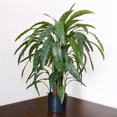 Leaf Design UK Variegated Artificial Calathea Plant in Green, Height: 90 cm – 1