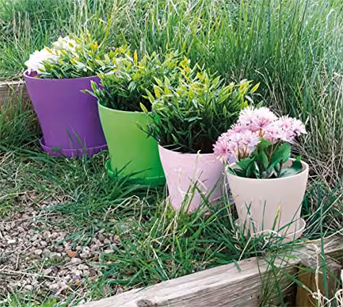 St Helens Plastic Plant Pot, White, W/D/H: 10.5 x 9 x 9 cm – 3
