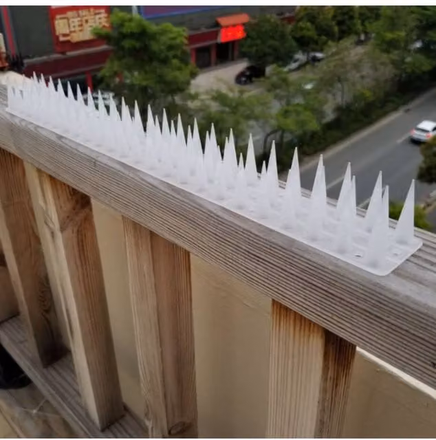 KDMD 12-Piece Transparent Plastic Anti-Bird and Animal Deterrent Spikes