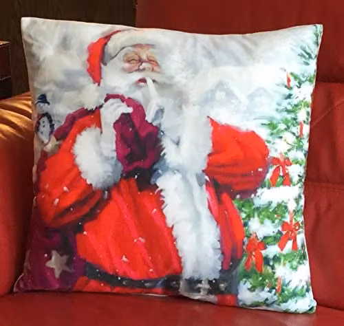 Luxury Living Red Velvet Christmas Santa Decorative Cushion with Pad, W/D/H: 45 x 45 x 45 cm