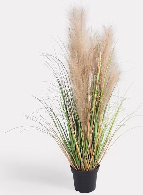 Blooming Artificial Green Feather Grass Plant, Height: 91.44 cm