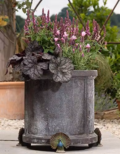 Potty Feet Peacock Figure Plant Pot Feet, Multicolour and White Decorative Planter Supports, Set of 3 – 2