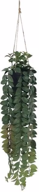 KDMD Botanica Green Artificial Hanging Plant, Height: 82 cm