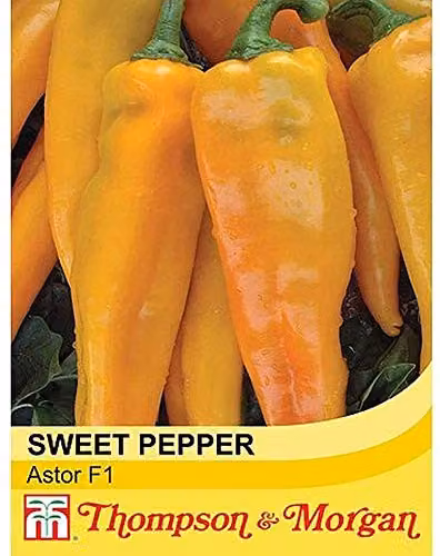 Thompson & Morgan Astor Sweet Pepper Seeds, 8 Seeds per Packet, Multi-Colour Vegetable Garden Plants