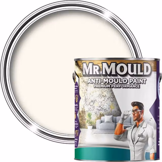 MR MOULD Anti-Mould Protection Paint for Interior Walls and Ceilings, 5 l, Ivory