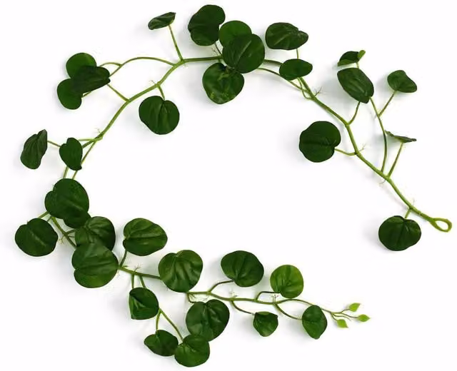 Leaf UK Green Artificial Round Pilea Hanging Plant Decoration, 160 cm