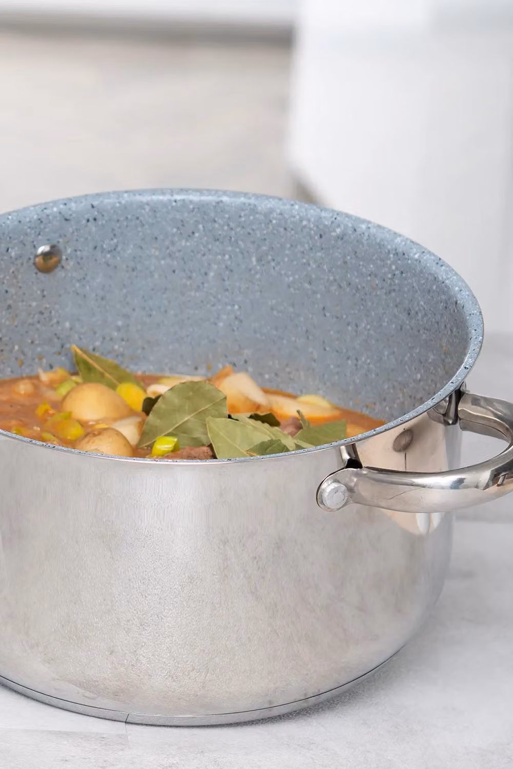 Durastone Professional Non-Stick Stainless Steel Stock Pot with Glass Lid in Silver – 2