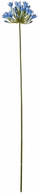 Lemon Pavilion Furniture and Decor Blue Agapanthus Single Stem Plastic Flower W: 15 cm, D: 15 cm, H: 75 cm