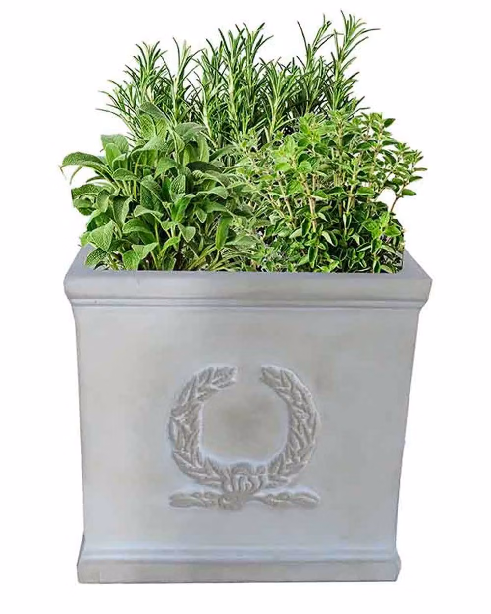 Dibor Beige X-L Fibreclay Outdoor Garden Planter Pot – 2