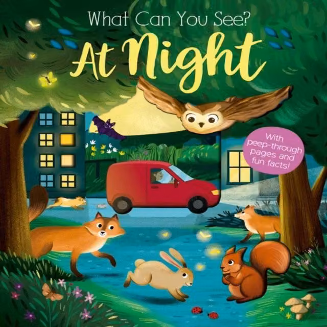Kate Ware What Can You See At Night? Multicolour Board Book