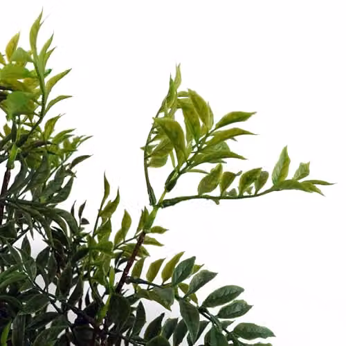Leaf Green Artificial Oriental Bonsai Tabletop Tree H 60 cm x W 30 cm x D 30 cm – 2