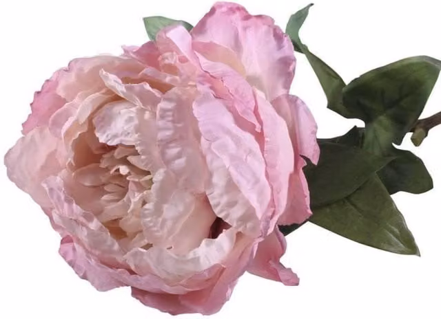 KDMD Pink Peony Artificial Flowers, 71 cm – 1