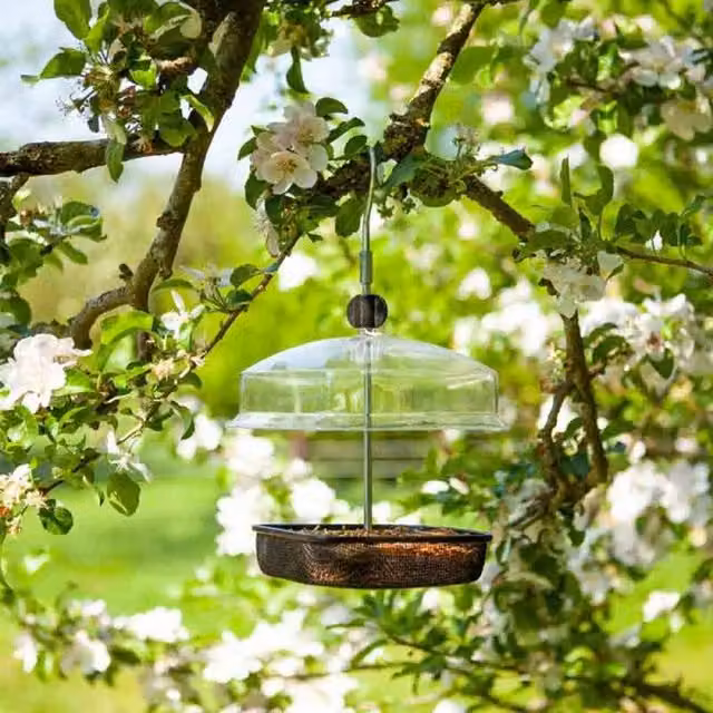 Garden Mile Canopy Bird Feeder in Black and Transparent