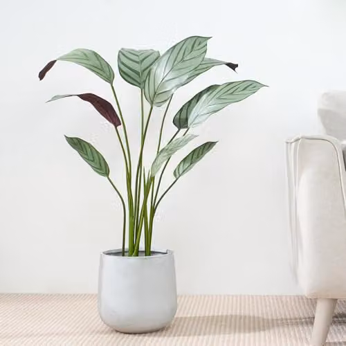 mcc direct Artificial Bird of Paradise Tree, Green Decorative Plant with Plastic Planter and Moss, Height: 90 cm