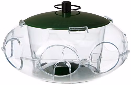 Peckish Green Metal Bird Seed Feeder for Small Birds