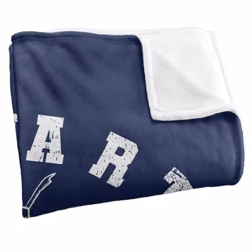 Warner Bros. Harry Potter Ravenclaw Quidditch Super Soft Fleece Throw Blanket, Multicolour, W: 152.4 cm x D: 127 cm – 2