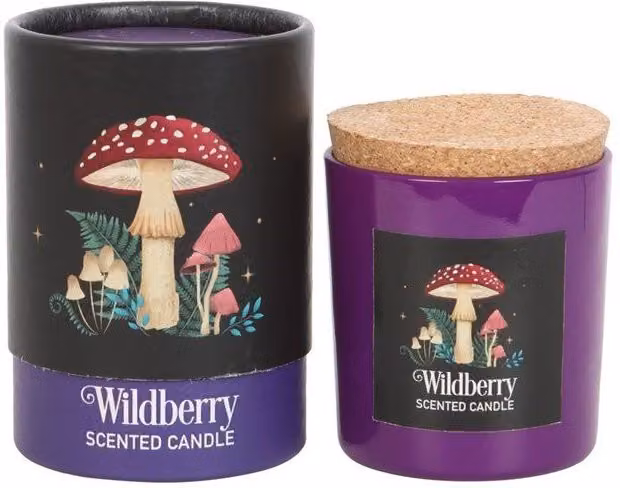 KDMD Forest Mushroom Wildberry Candle in Purple – 1