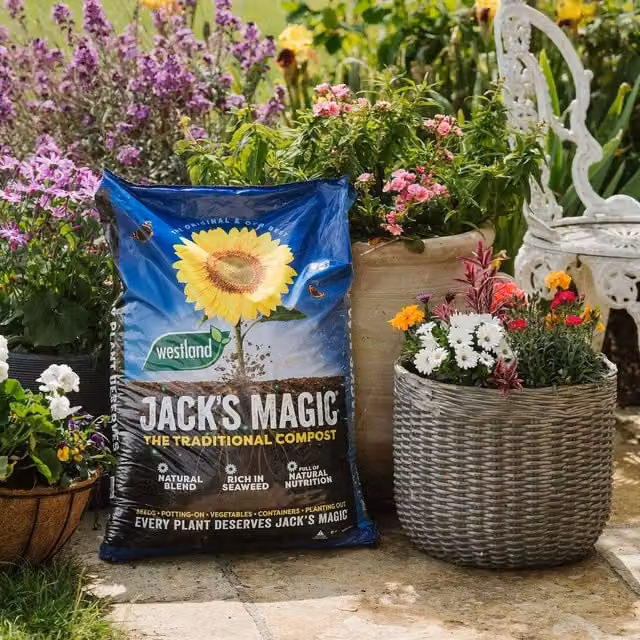Westland Jack's Magic All-Purpose Compost, 50 l