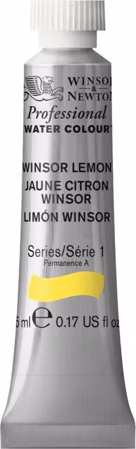 Winsor and Newton Professional Watercolour Paint, Windsor Yellow, 5ml