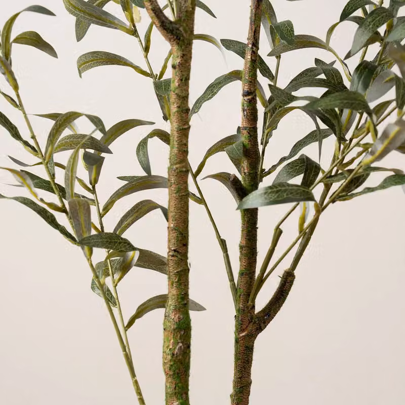 Scottish Everlastings Ltd 130cm Slim Silhouette Green Olive Tree – 2