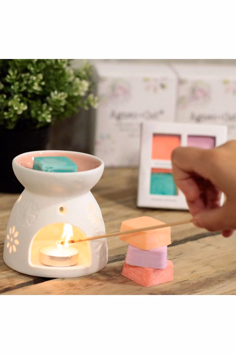 KDMD Agnes & Cat Ceramic Wax Melter in White with 4 Floral and Fruity Soy Melts – 2