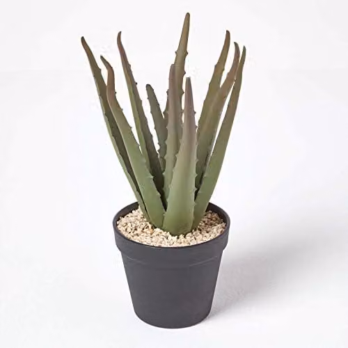HOMESCAPES Aloe Vera Artificial Succulent Plant in a Round Black Plastic Pot, Green, Height: 30 cm