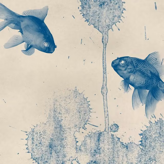 Blue Abstract Fish Wall Mural
