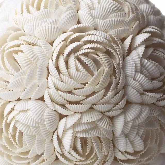 KDMK Boho Sea Shell Rose Globe Tabletop Ambient Light, White