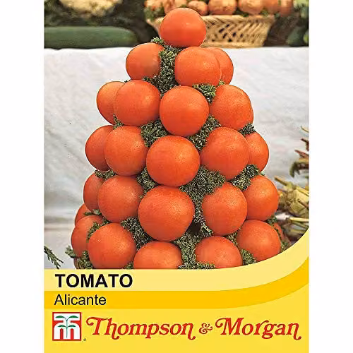 Thompson and Morgan Alicante Tomato Seeds, 100 Seeds per Packet, Red Fruit/Vegetable Garden Plants – 2