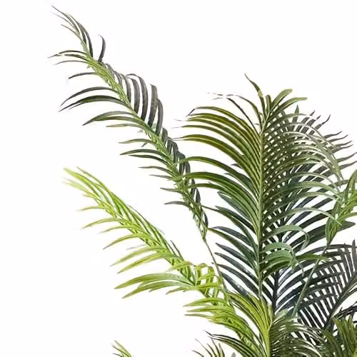 Leaf UK 160 cm Artificial Palm Tree in a Green Pot with White Accents – 2