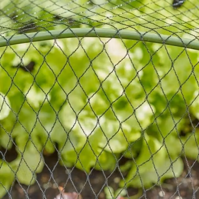 Marco Paul Anti Bird Pond Netting in Black