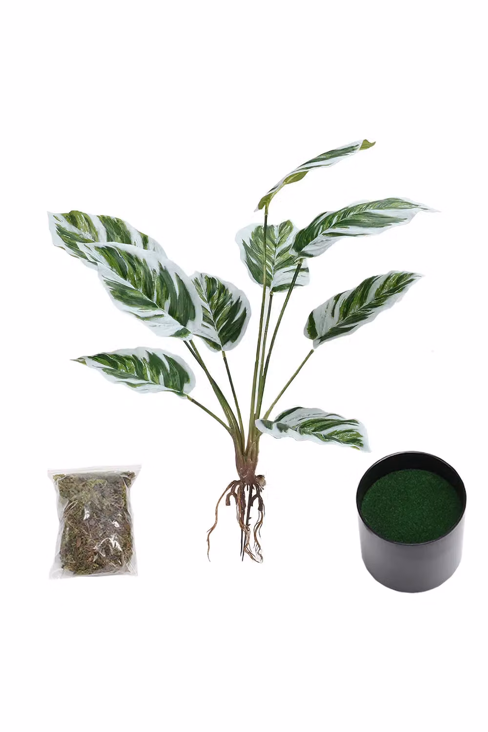 Living and Home Artificial Calathea White Fusion Potted Plant in Green, Height: 54.5 cm – 2