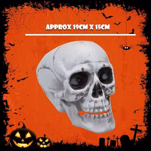 VFM e-Store Large Skull Decoration with Moving Jaw in White, Height: 19 cm – 3
