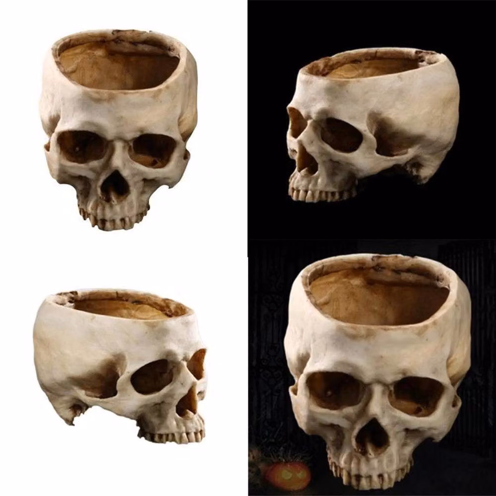 FLAVORA Realistic Resin Skull Planter for Succulents, White, H 100 cm x W 15 cm x D 15 cm – 3