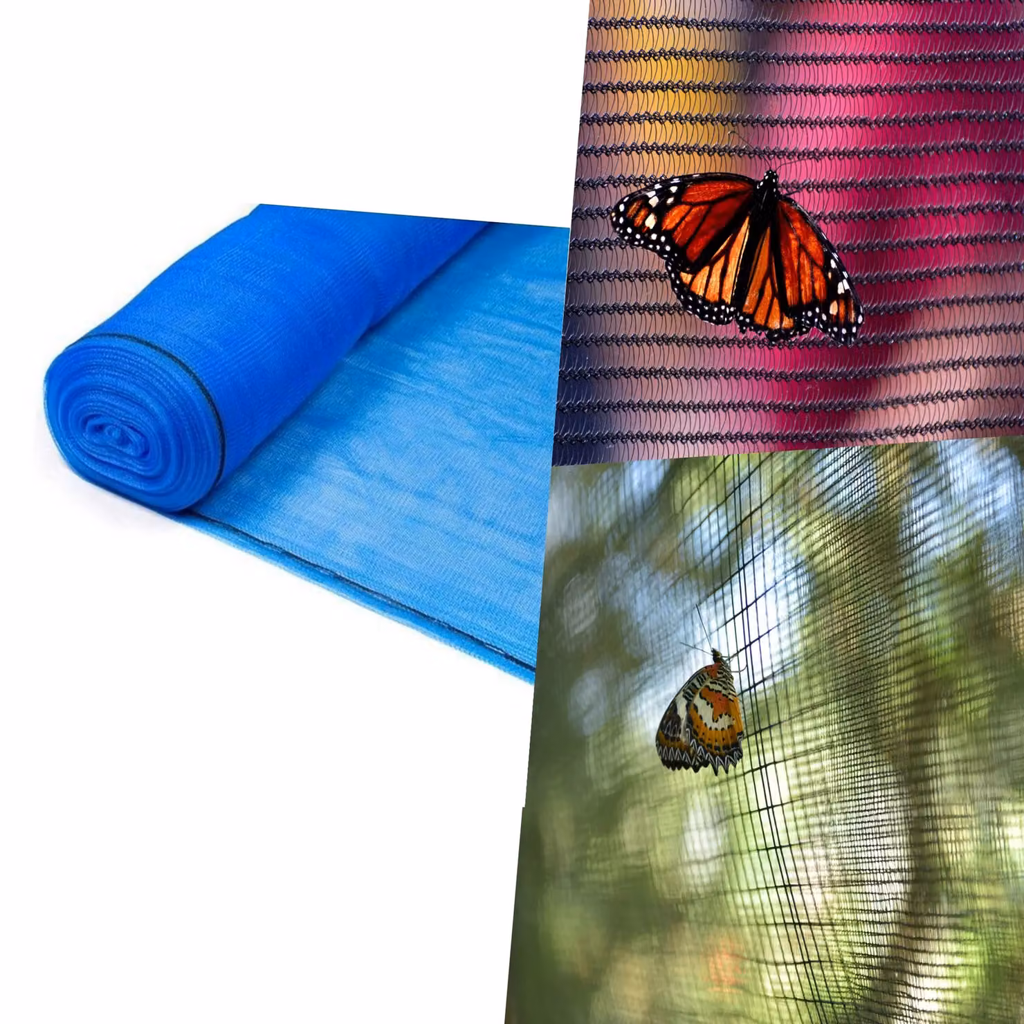 Pegdev Blue Butterfly Netting UV Stabilised Plastic Mesh for Vegetable Gardens, 4m – 3