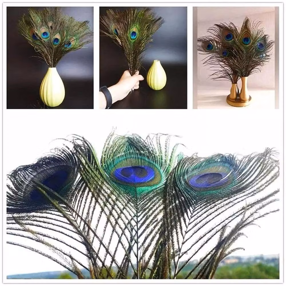 SPETLEK Natural Multicolour Peacock Tail Feathers for DIY Craft and Art Projects – 3