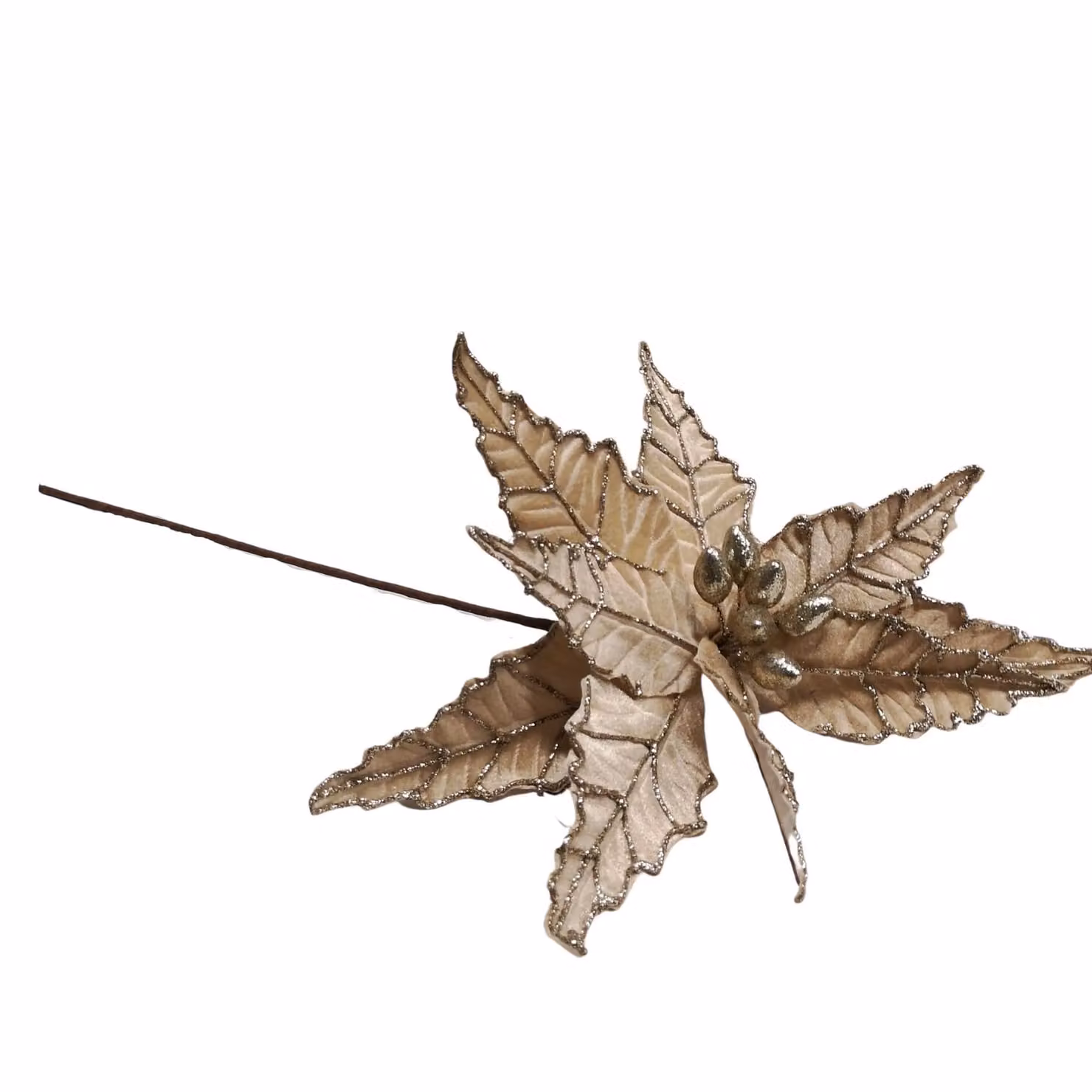 Samuel Alexander Champagne Velvet Poinsettia Stem with Glitter Christmas Decoration in Beige, 50 cm – 4