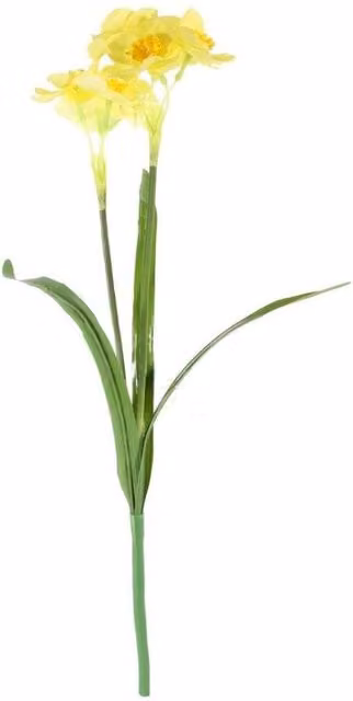KDMD Essential Yellow Narcissus Spring Plants with Leaves, 4 Pack, 48 cm