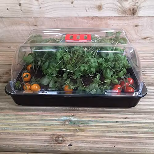 Samuel Alexander Pack of 4 Grostart Midi Unheated Seed Starter Trays, 38 cm, Black – 4