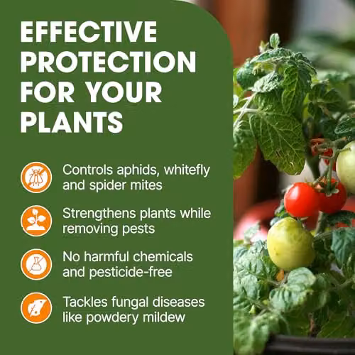 Doff 2 in 1 Rose Shield Bug and Fungus Control Spray, 1 l – 3