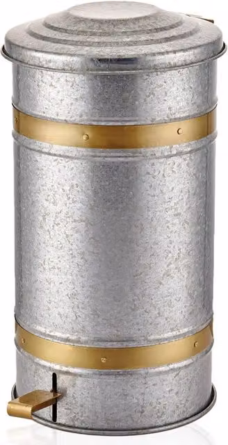 The Mia UK Mia Galvin Series 24L Step On Pedal Rubbish Bin in Silver and Gold Steel